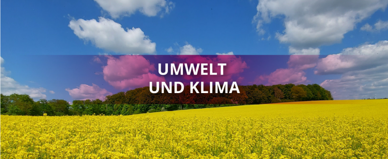 media/image/ENC_Druckerei-Wullenweber_Brilon_Startseite_Banner_6x5_3.png